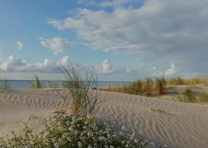 Chalet Near And Pool In Quend-plage